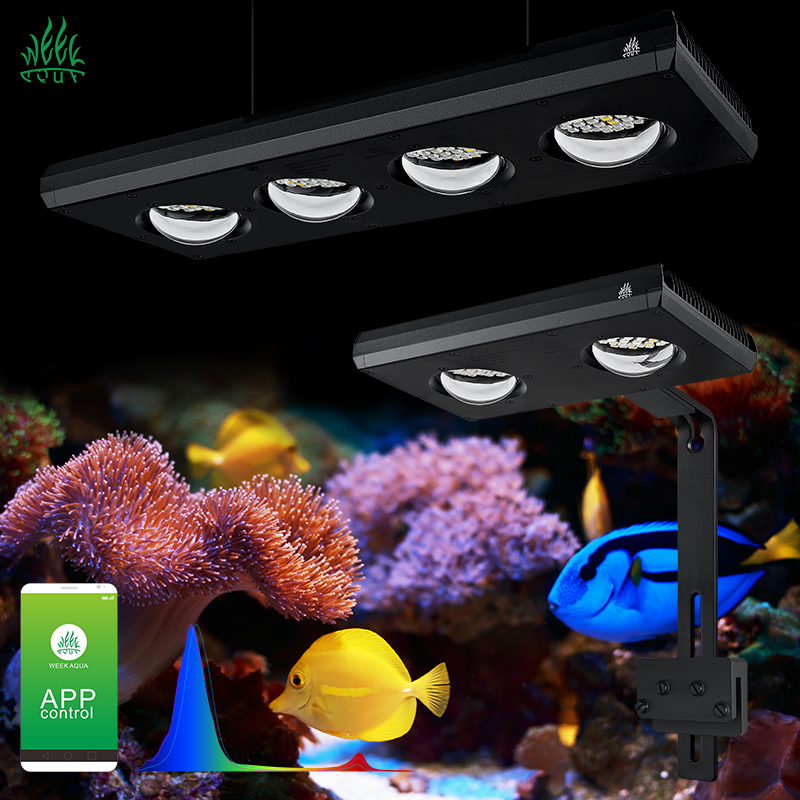 Aquarium Blue Marine - ZXY Hot Sale WEEKAQUA Z250 Z400sea