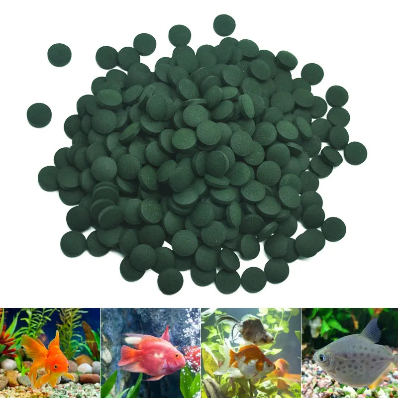 100-3000pc High Purity Spiruli - Marine Aquarium Bacteria ulasan dan harga