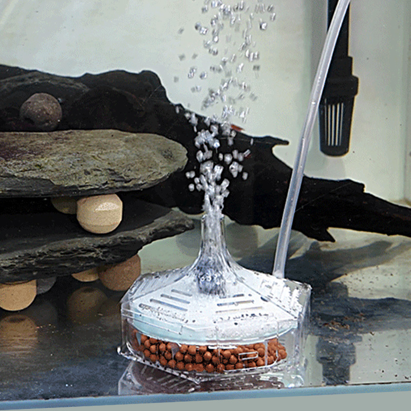 Super Thin Aquarium Fish Tank  - Marine Aquarium Bacteria ulasan dan harga