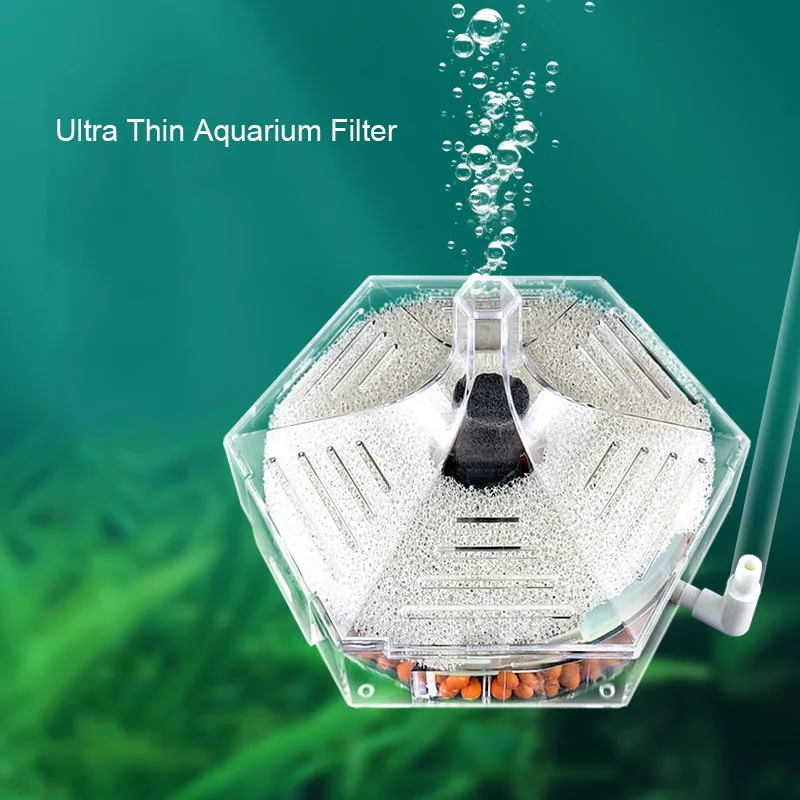 Super Thin Aquarium Fish Tank  - Marine Aquarium Bacteria ulasan dan harga