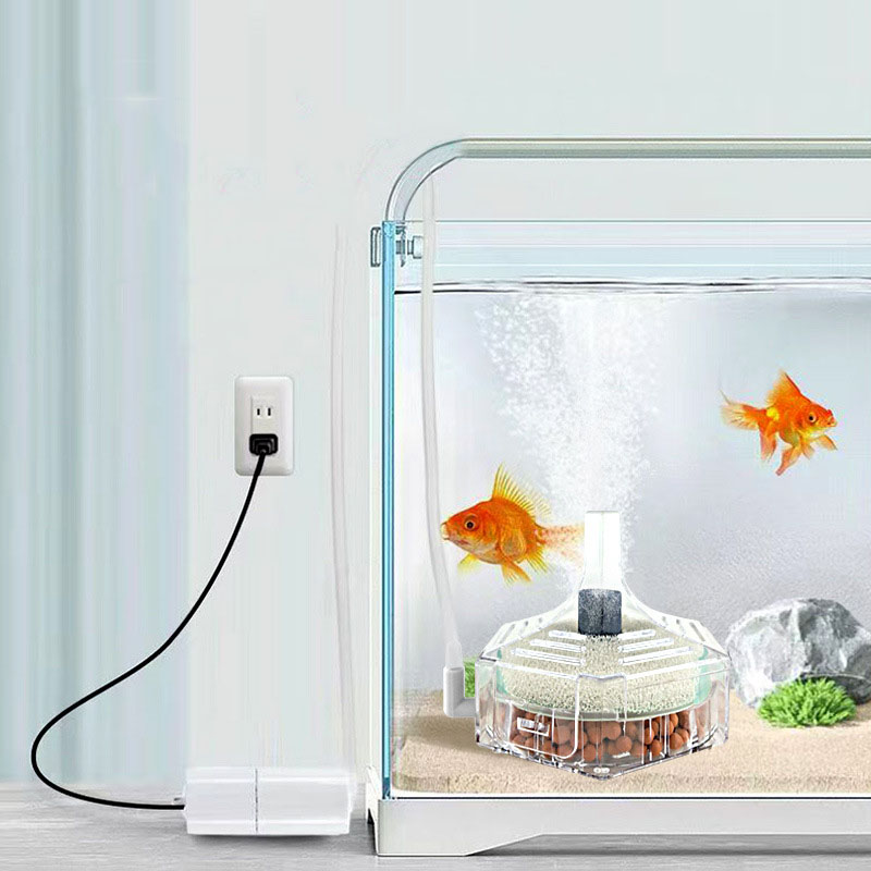 Super Thin Aquarium Fish Tank  - Marine Aquarium Bacteria ulasan dan harga