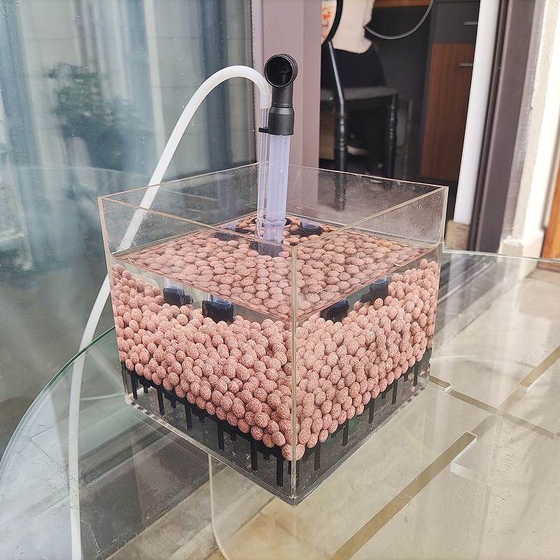 Transparent Acrylic Shrimp Fis - Marine Aquarium Overflow Box ulasan dan harga