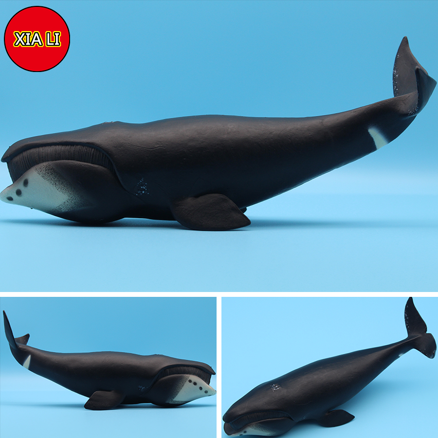 Ocean Sea Life Simulation Kill - Aquarium Blue Marine ulasan dan harga