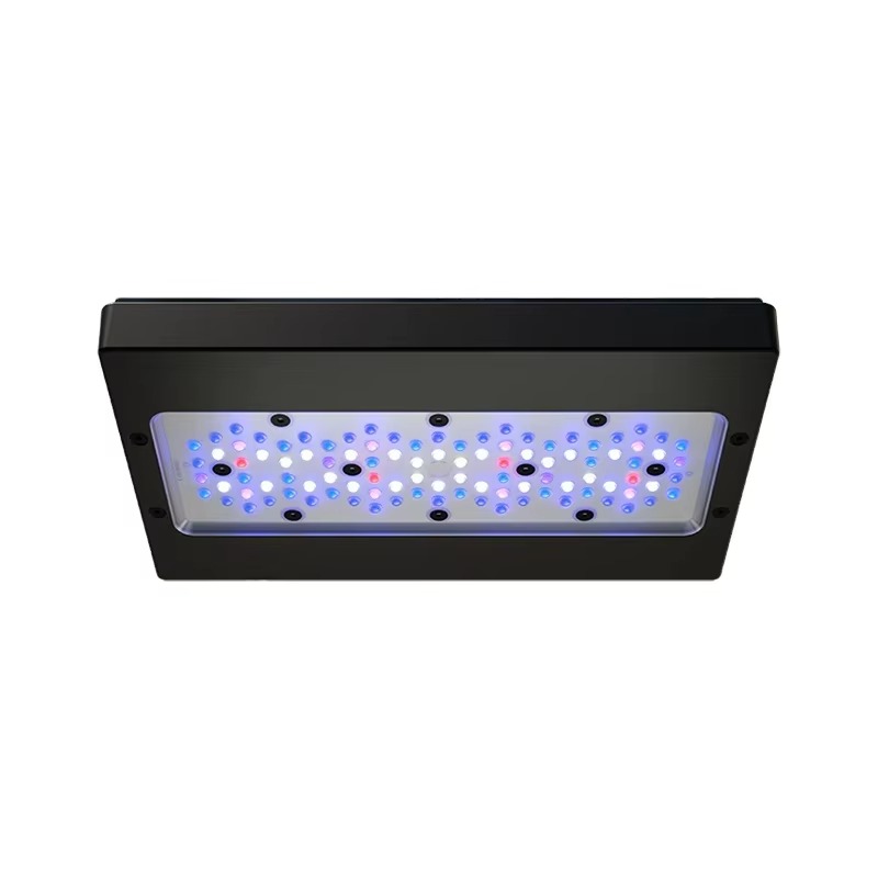 A8 Pro Blue 215W AC 110-240V W - Aquarium Blue Marine ulasan dan harga