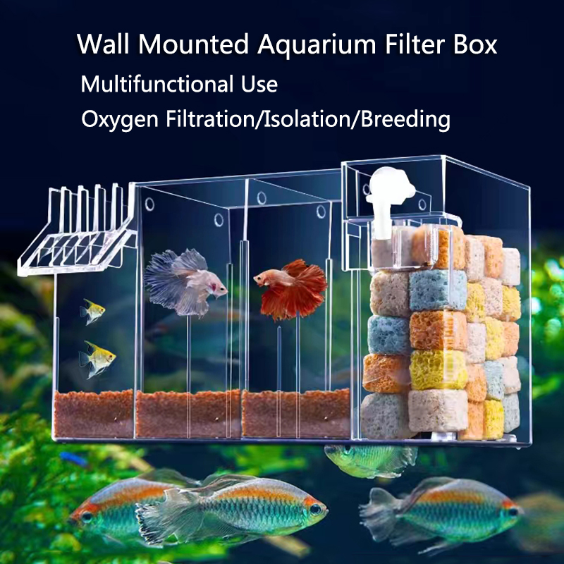 4 in 1 Fish Tank External Filt - Marine Aquarium Overflow Box ulasan dan harga