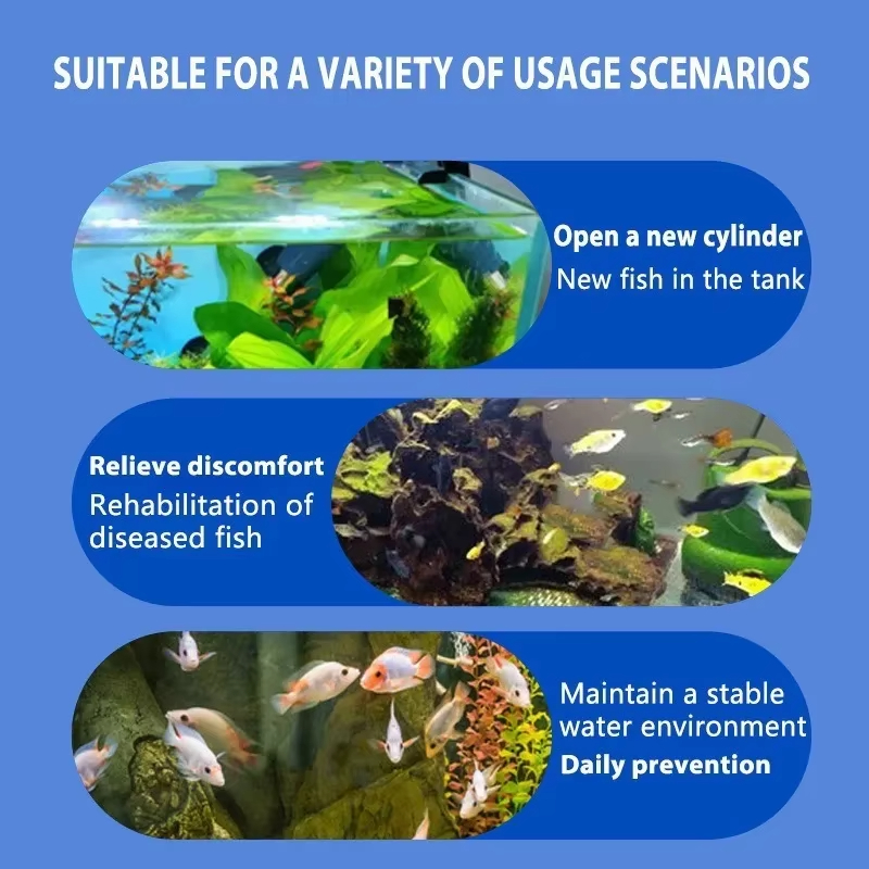 SIKEZHAN Fish Disease Treatmen - Marine Aquarium Bacteria ulasan dan harga