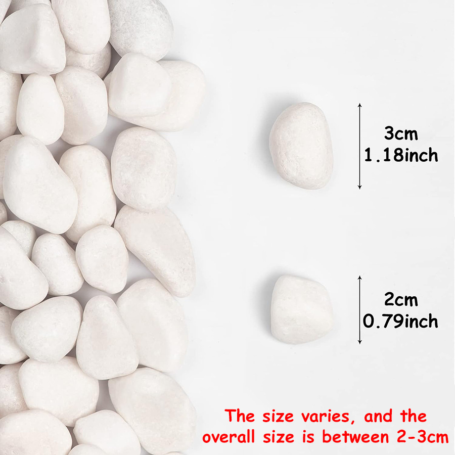 200/400g White High Polished N - Aquarium Marine Fish ulasan dan harga
