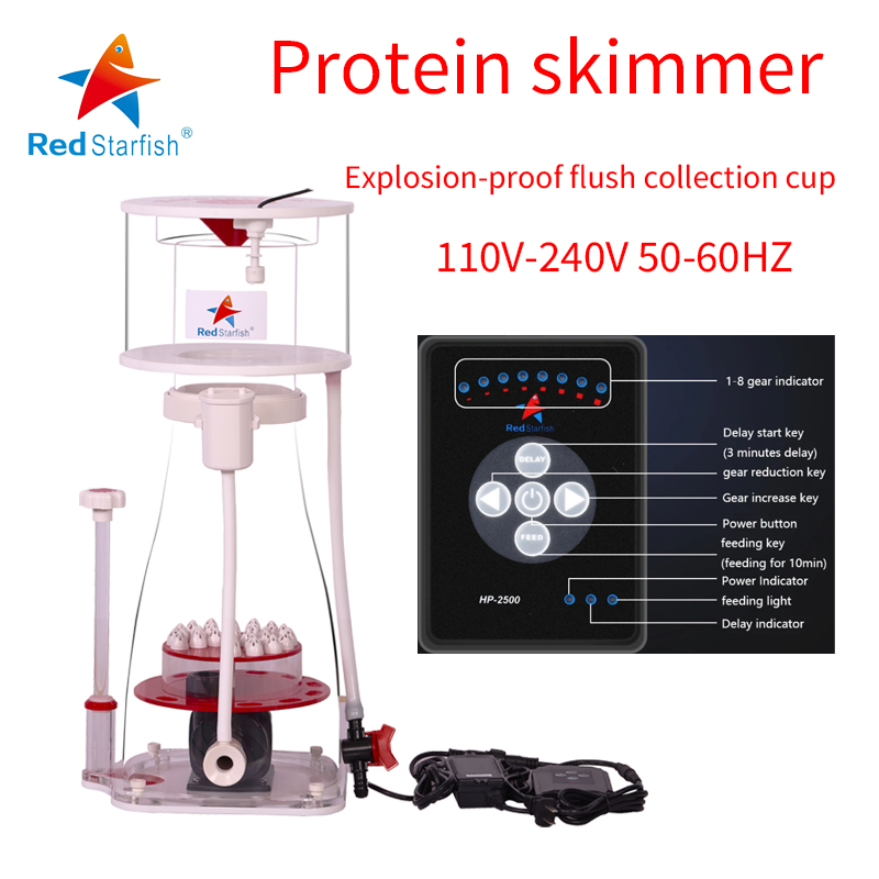 110-240V Red Starfish  Aquariu - Marine Aquarium Overflow ulasan dan harga