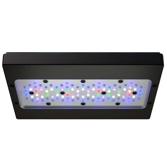 Applicable to A8 PRO III Max a - Aquarium Blue Marine ulasan dan harga