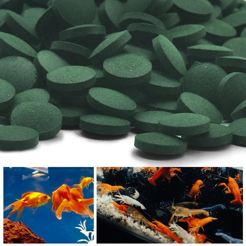 50-300Pcs High Purity Spirulin - Marine Aquarium Bacteria ulasan dan harga