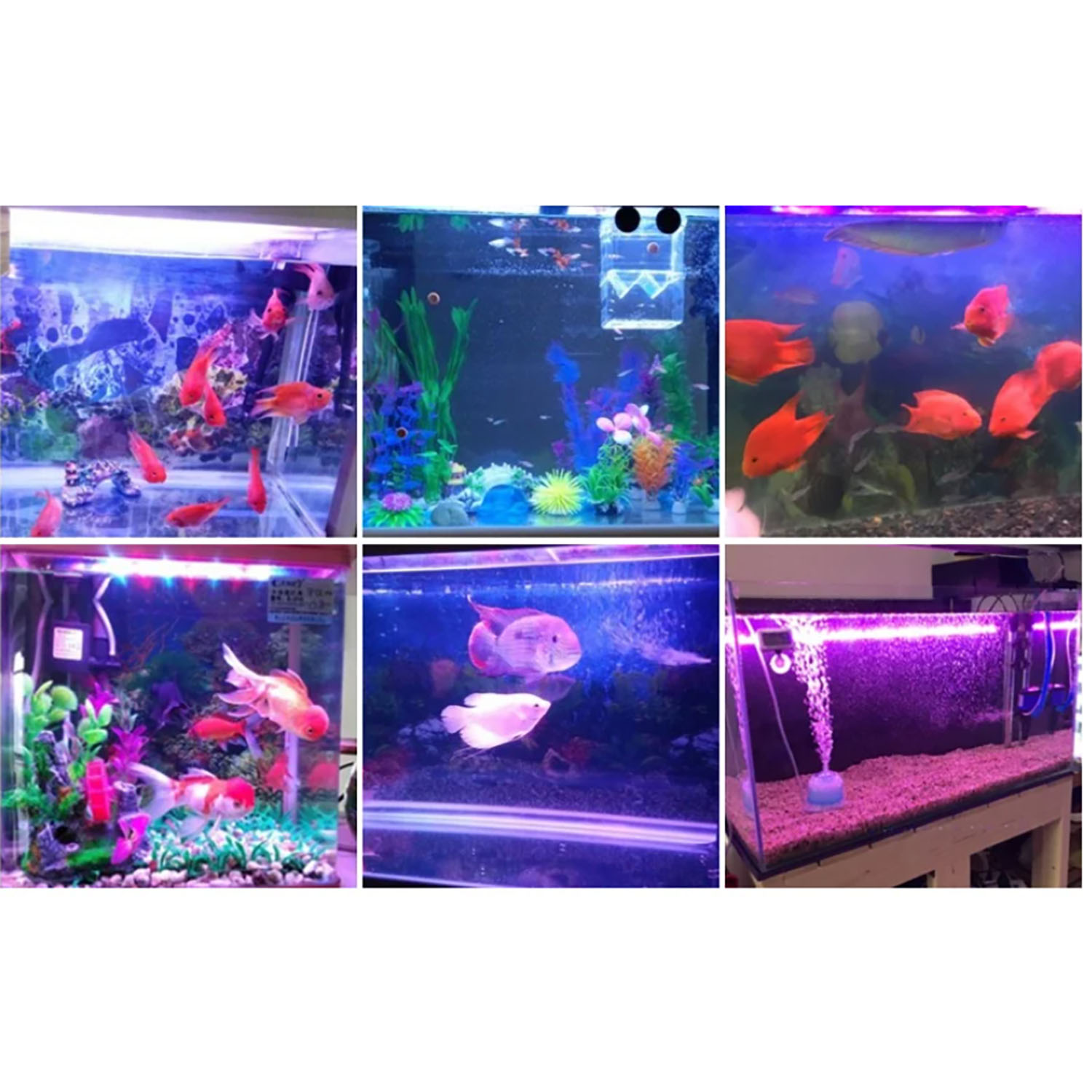 50W 60W 70W 100W RGB 26-28V Hi - Aquarium Blue Marine ulasan dan harga