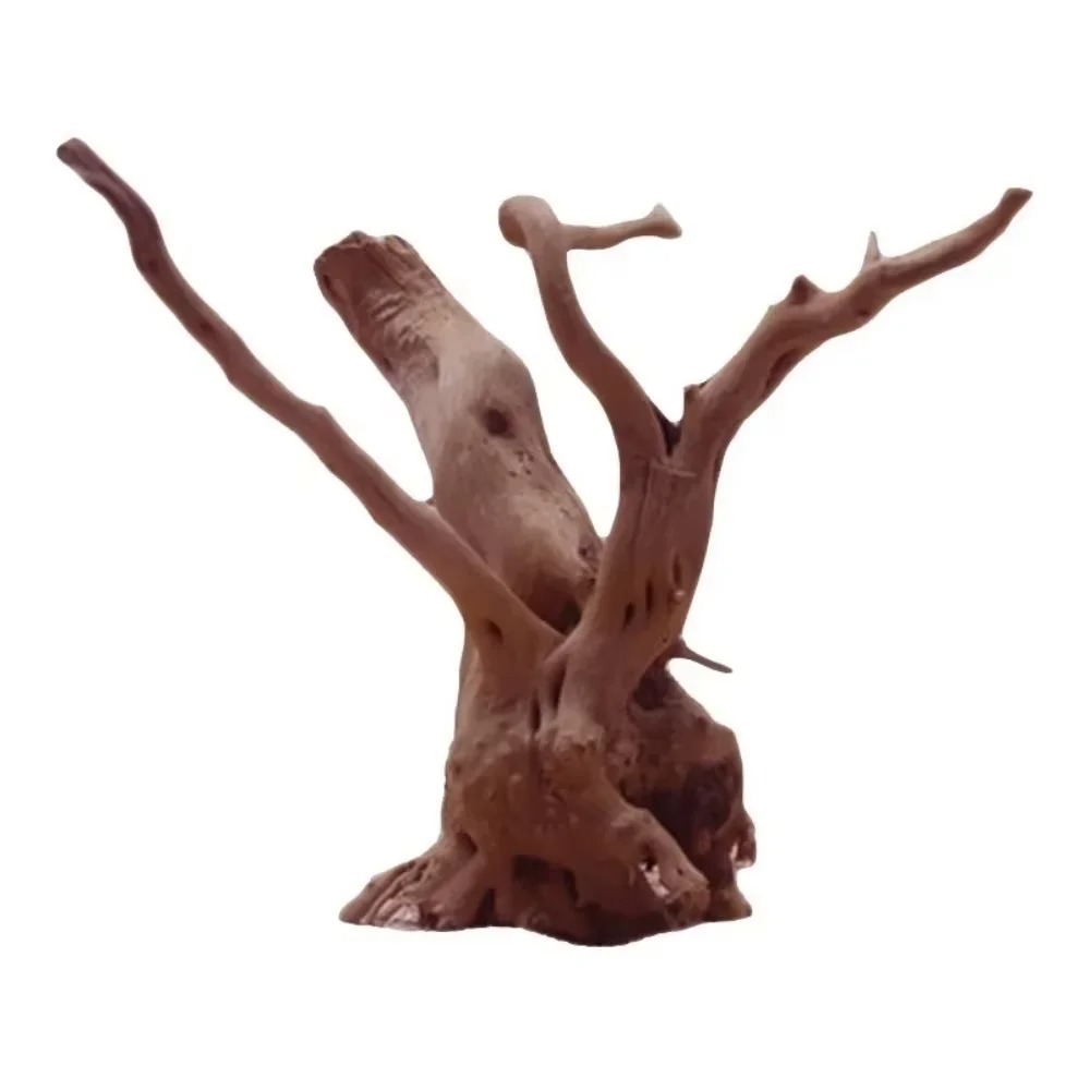 （15-20cm） Natural Driftwood Aq - Aquarium Marine Fish ulasan dan harga