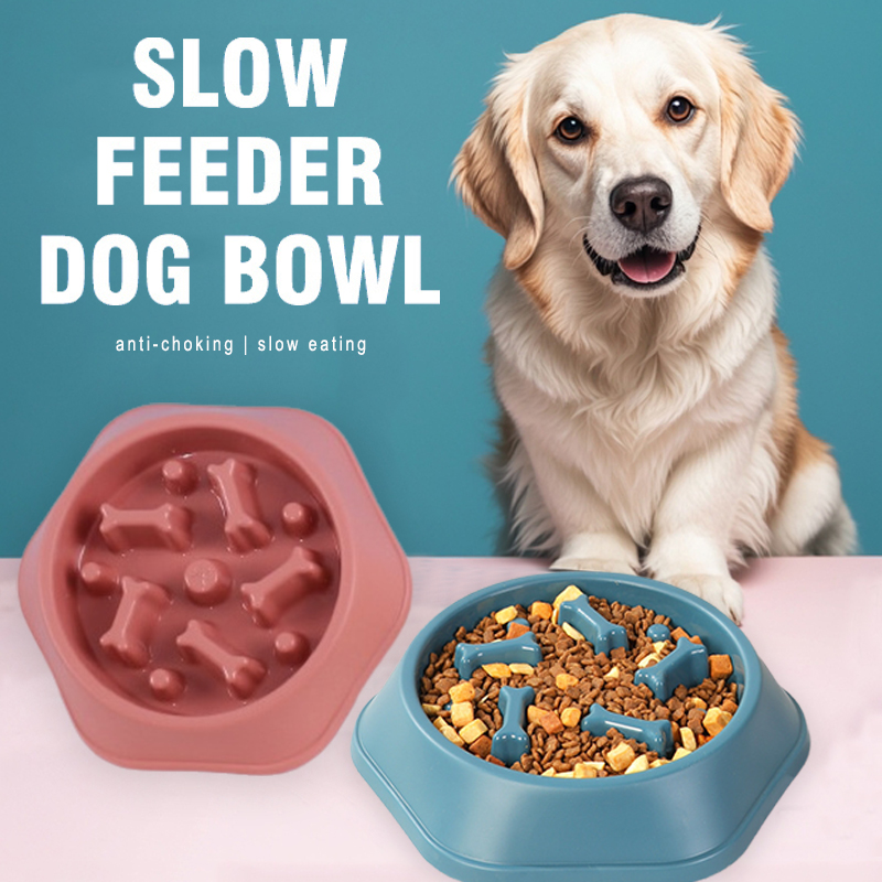 Slow Feeder Dog Bowl Anti-chok - Royal Canin Food Medium ulasan dan harga