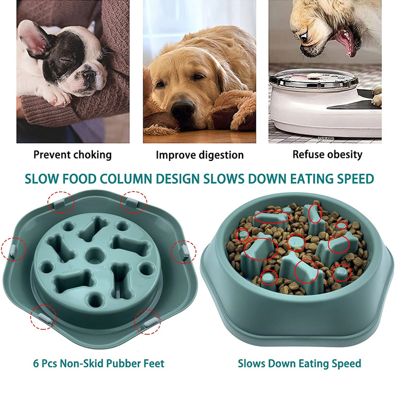 Slow Feeder Dog Bowl Anti-chok - Royal Canin Food Medium ulasan dan harga