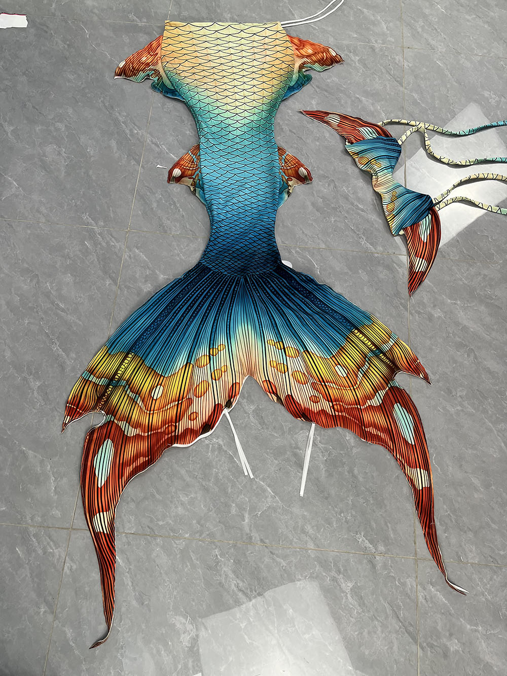 New Pattern Mermaid Tail Merma - Aquarium & Marine Museum Universiti Malaysia Sabah Kota Kinabalu Sabah Reviews ulasan dan harga