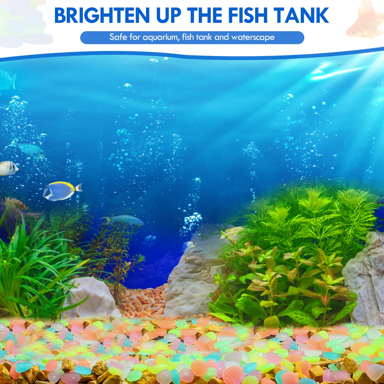 100Pcs Glow in the Dark Garden - Aquarium Marine Fish ulasan dan harga