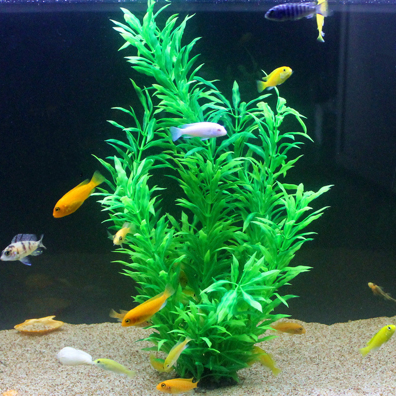 50CM Artificial Fish Tank Rare - Aquarium Marine Fish ulasan dan harga