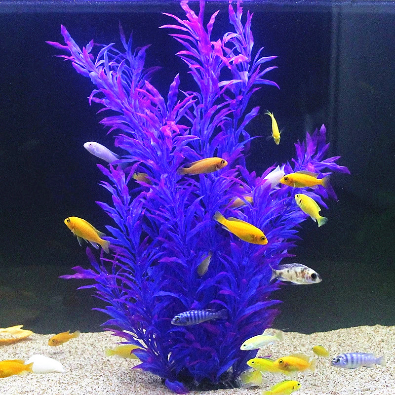 50CM Artificial Fish Tank Rare - Aquarium Marine Fish ulasan dan harga